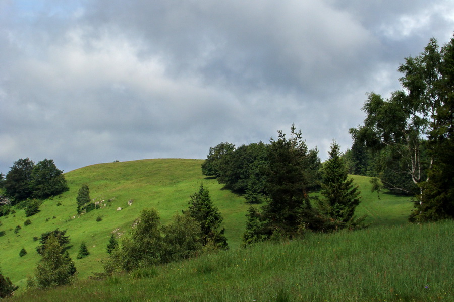 Bukovec a Holý vrch (Volovské vrchy)