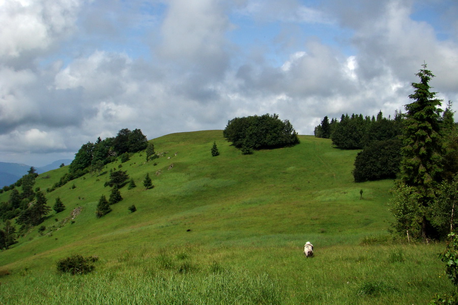 Bukovec a Holý vrch (Volovské vrchy)