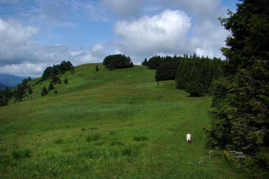 Bukovec a Holý vrch (Volovské vrchy)