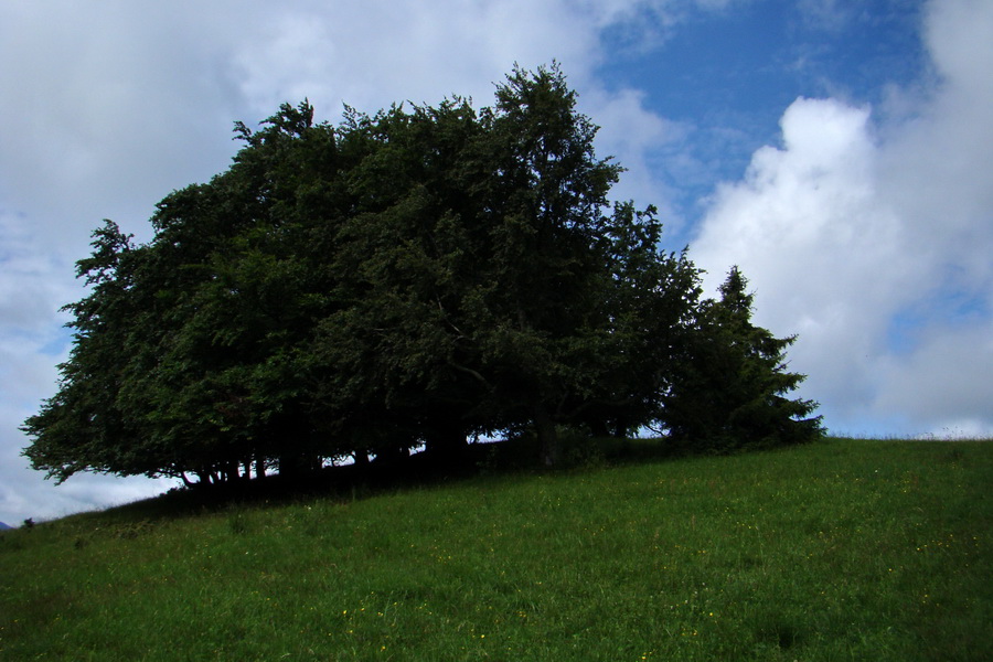 Bukovec a Holý vrch (Volovské vrchy)