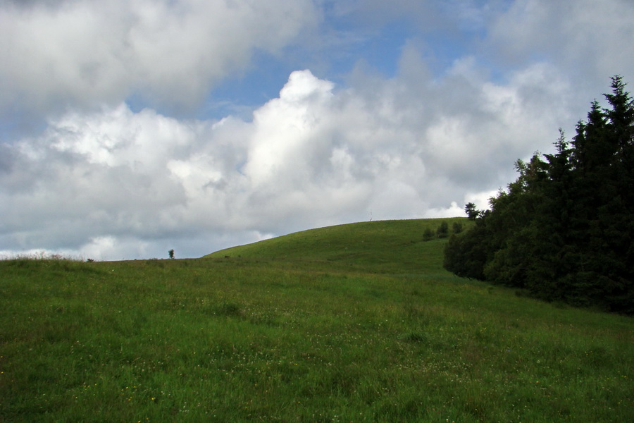 Bukovec a Holý vrch (Volovské vrchy)