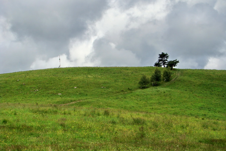 vrchol Bukovca