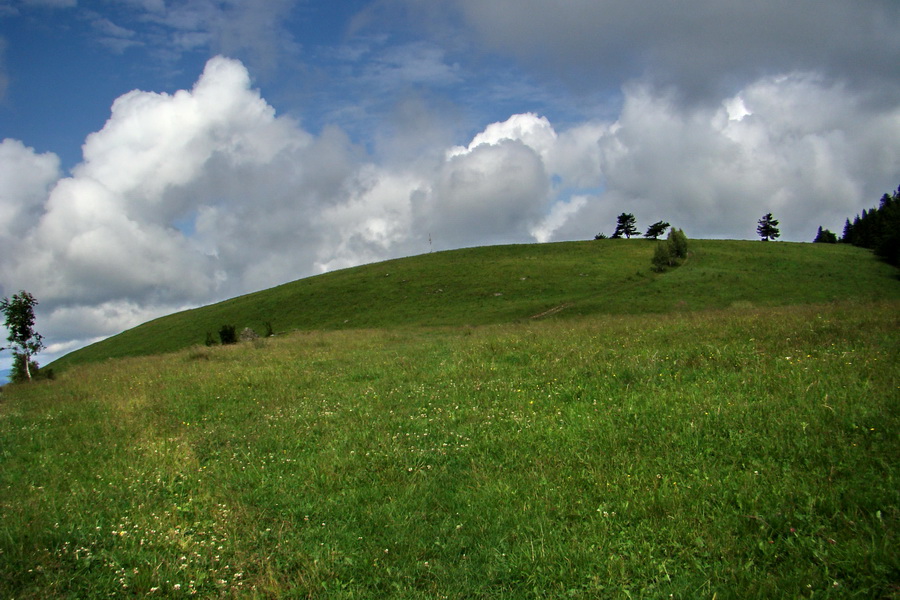 Bukovec a Holý vrch (Volovské vrchy)