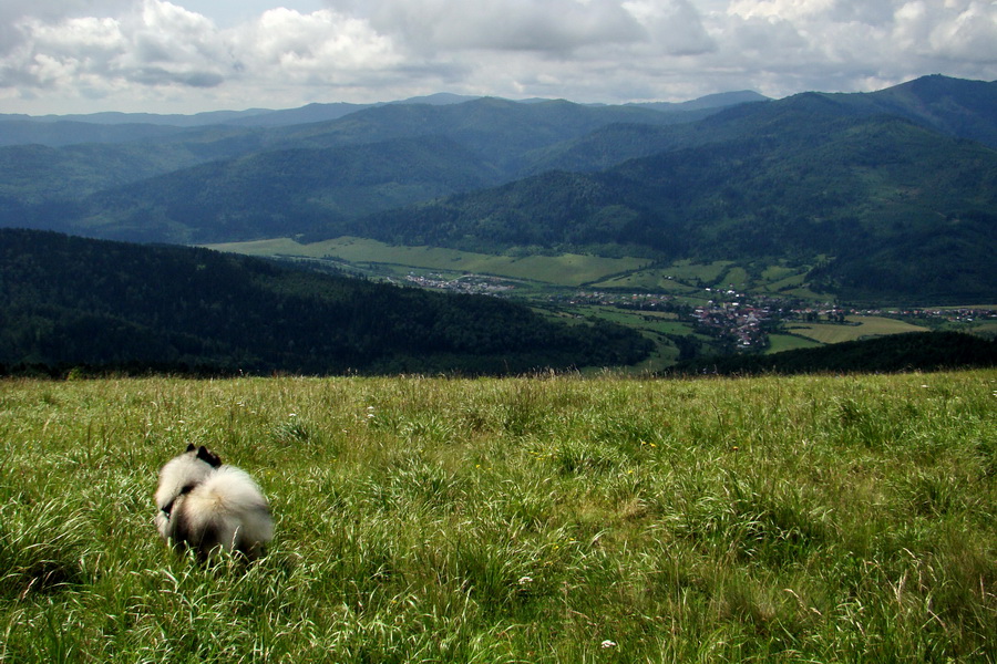 Bukovec a Holý vrch (Volovské vrchy)