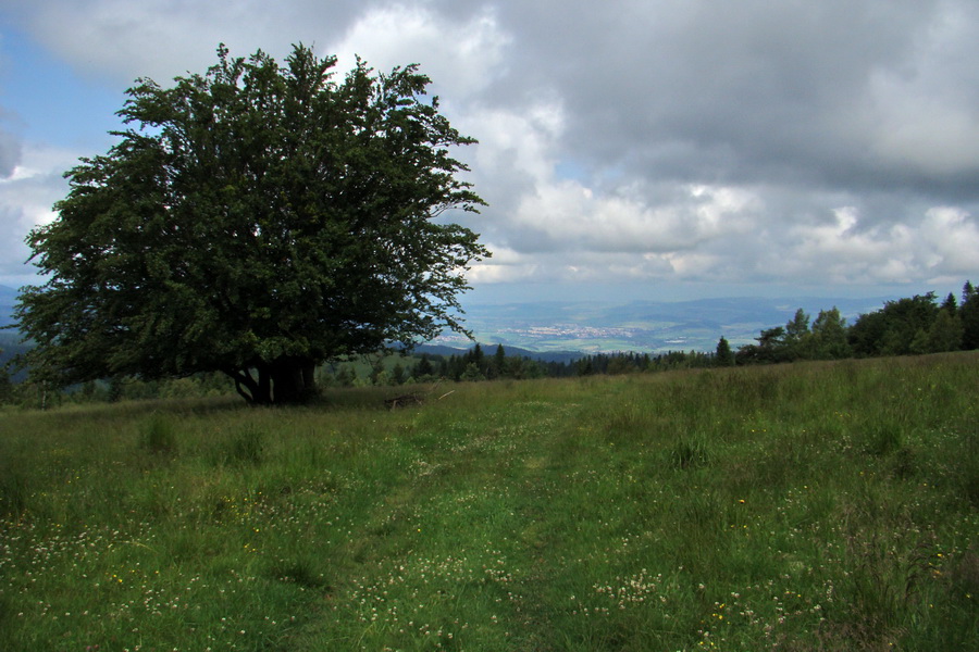 Bukovec a Holý vrch (Volovské vrchy)