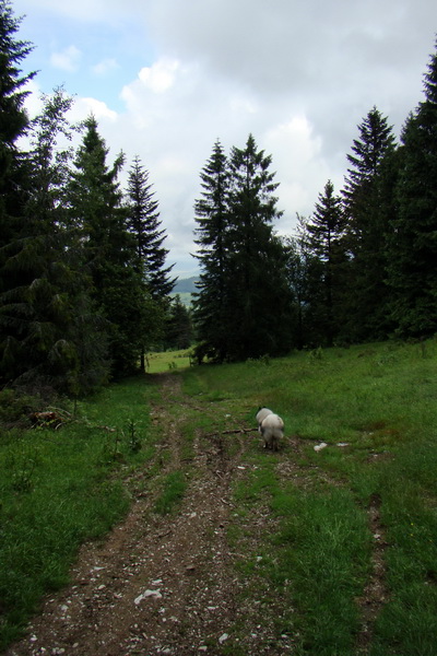 Bukovec a Holý vrch (Volovské vrchy)