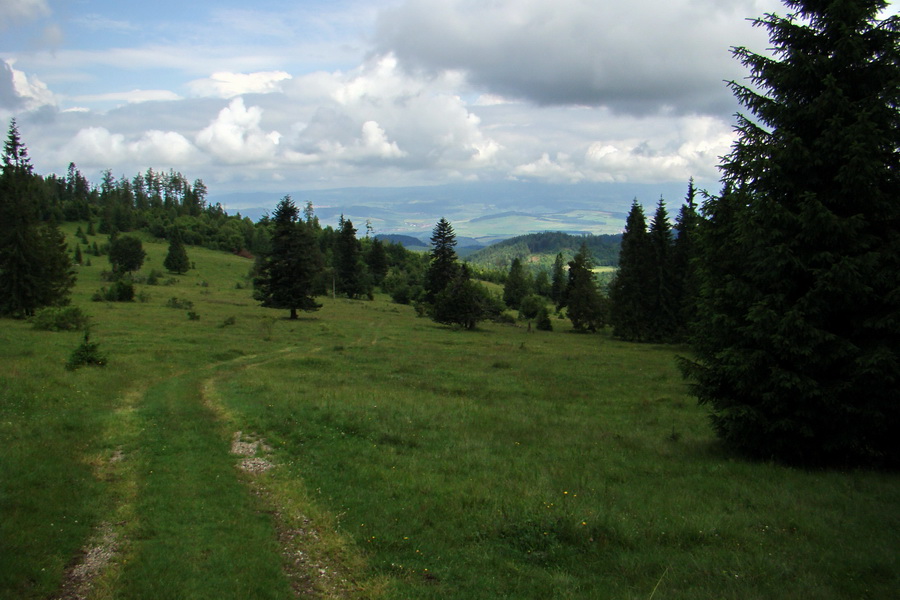 Bukovec a Holý vrch (Volovské vrchy)