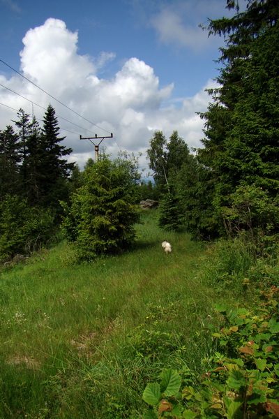 Bukovec a Holý vrch (Volovské vrchy)