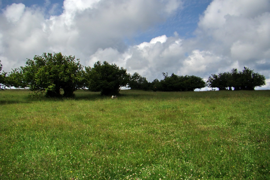 Bukovec a Holý vrch (Volovské vrchy)