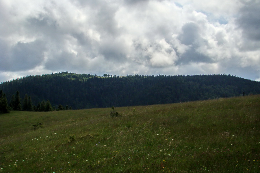 Bukovec a Holý vrch (Volovské vrchy)