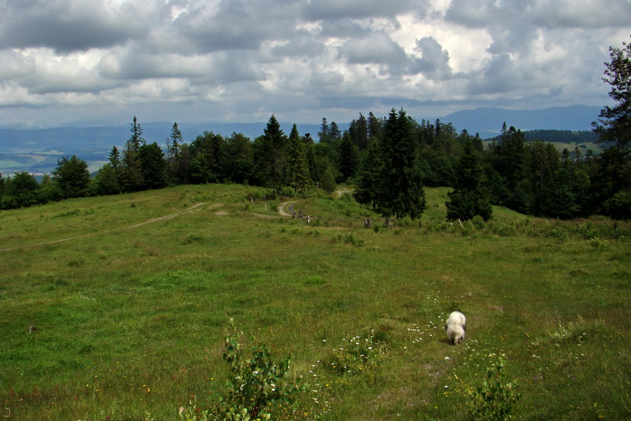 Bukovec a Holý vrch (Volovské vrchy)