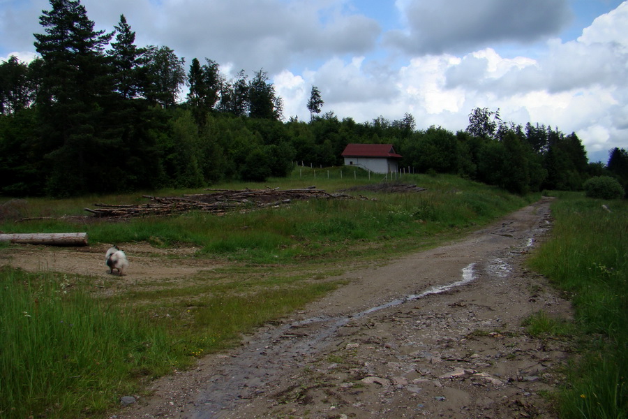 Bukovec a Holý vrch (Volovské vrchy)