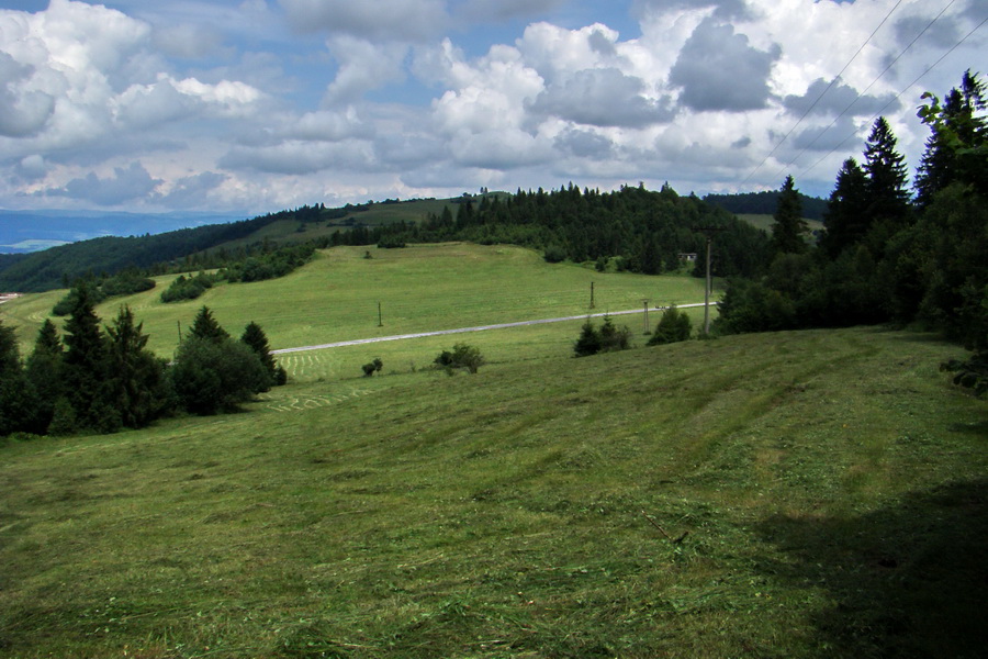 Bukovec a Holý vrch (Volovské vrchy)