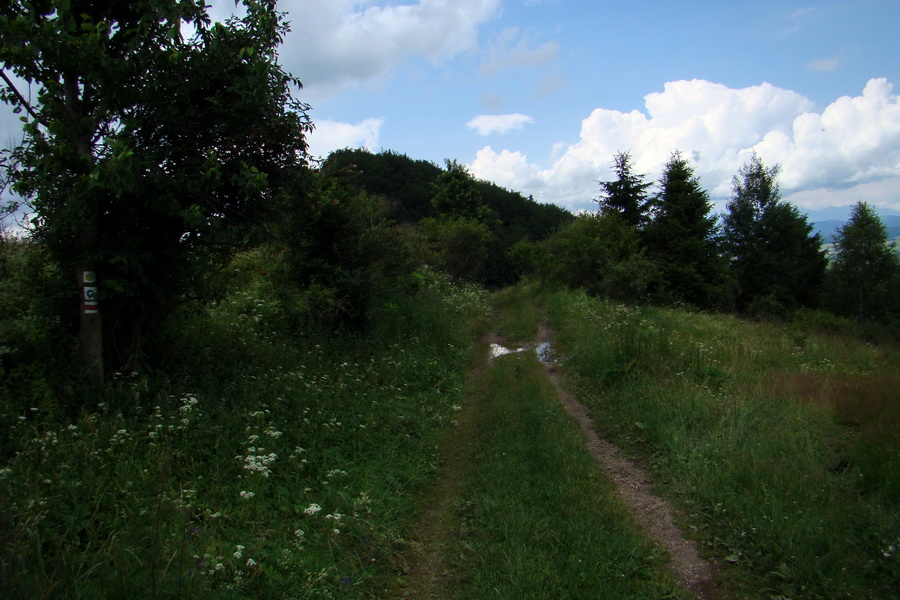 Bukovec a Holý vrch (Volovské vrchy)