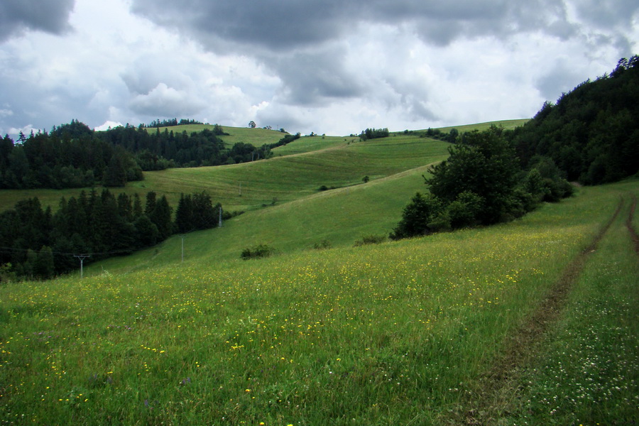 Bukovec a Holý vrch (Volovské vrchy)