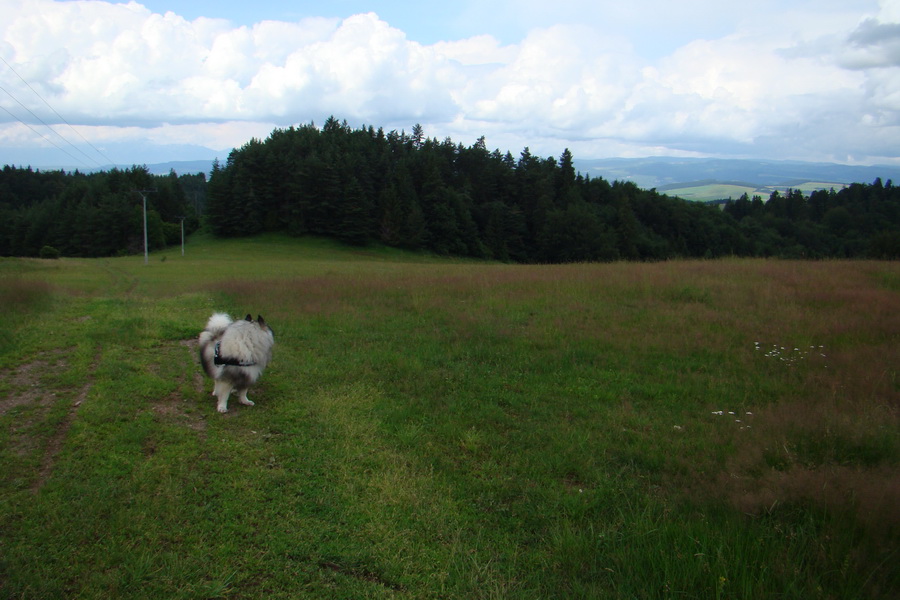 Bukovec a Holý vrch (Volovské vrchy)