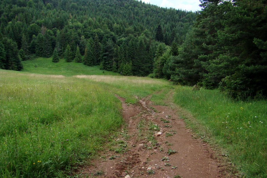 Bukovec a Holý vrch (Volovské vrchy)