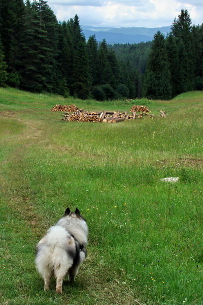 Bukovec a Holý vrch (Volovské vrchy)