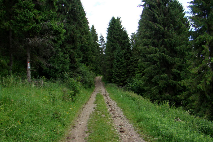 Bukovec a Holý vrch (Volovské vrchy)