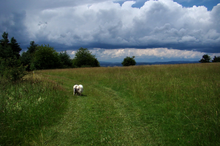 Bukovec a Holý vrch (Volovské vrchy)