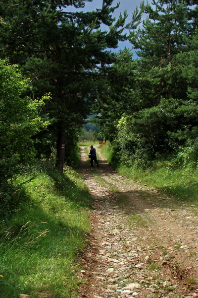 Bukovec a Holý vrch (Volovské vrchy)