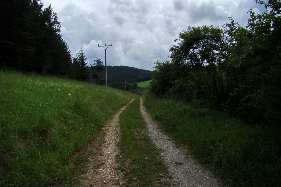 Bukovec a Holý vrch (Volovské vrchy)