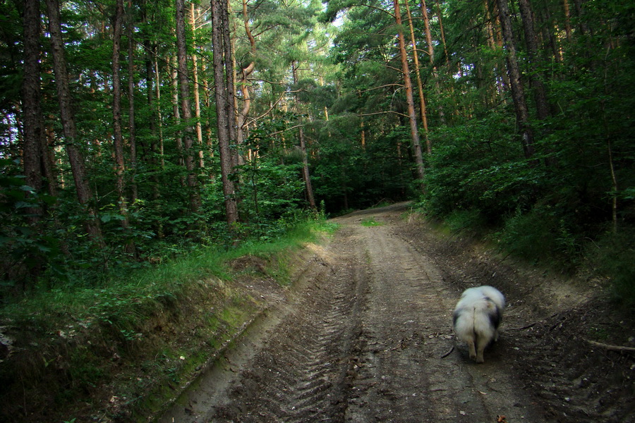 Chata Erika z Poproča (Volovské vrchy)