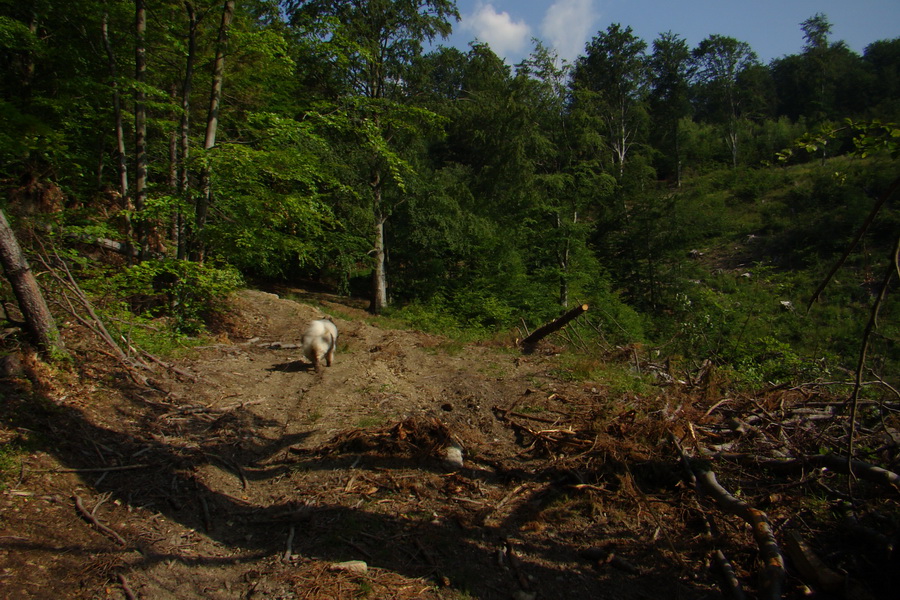 Chata Erika z Poproča (Volovské vrchy)