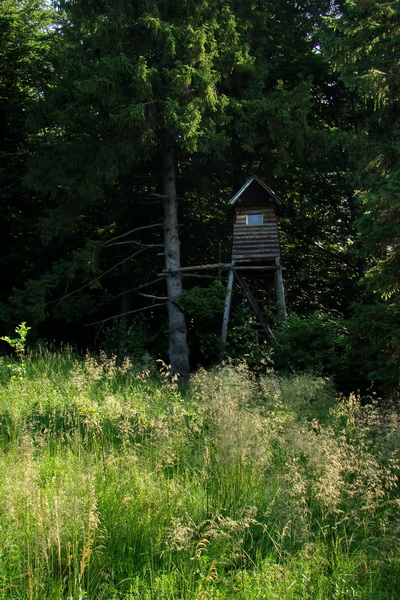 Chata Erika z Poproča (Volovské vrchy)