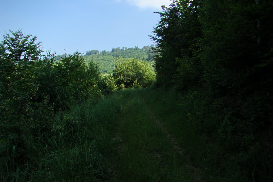 Chata Erika z Poproča (Volovské vrchy)