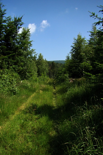 Chata Erika z Poproča (Volovské vrchy)