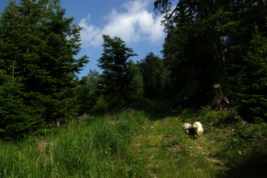 Chata Erika z Poproča (Volovské vrchy)