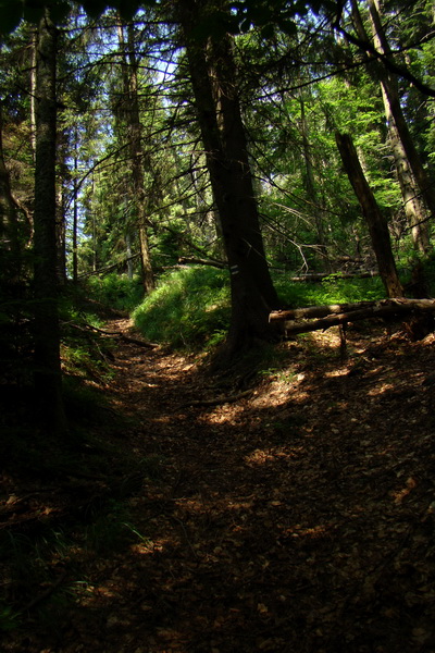 Chata Erika z Poproča (Volovské vrchy)