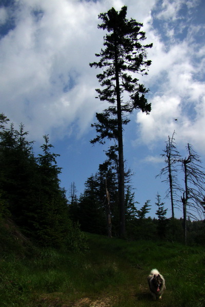 Chata Erika z Poproča (Volovské vrchy)