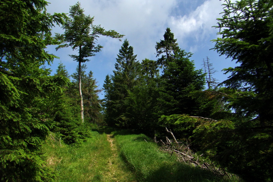 Chata Erika z Poproča (Volovské vrchy)