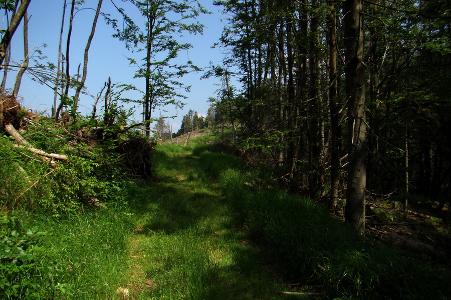 Chata Erika z Poproča (Volovské vrchy)