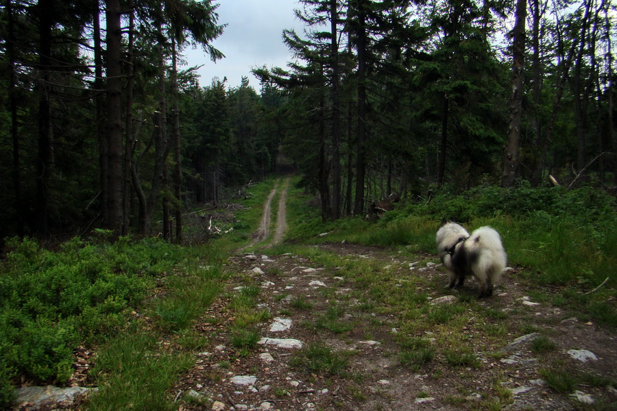 Chata Erika z Poproča (Volovské vrchy)