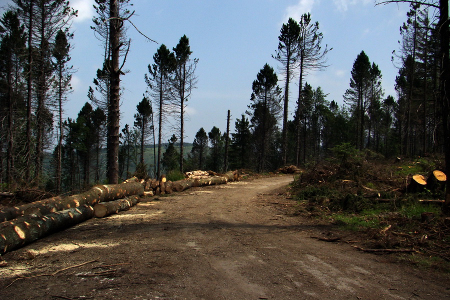 Chata Erika z Poproča (Volovské vrchy)