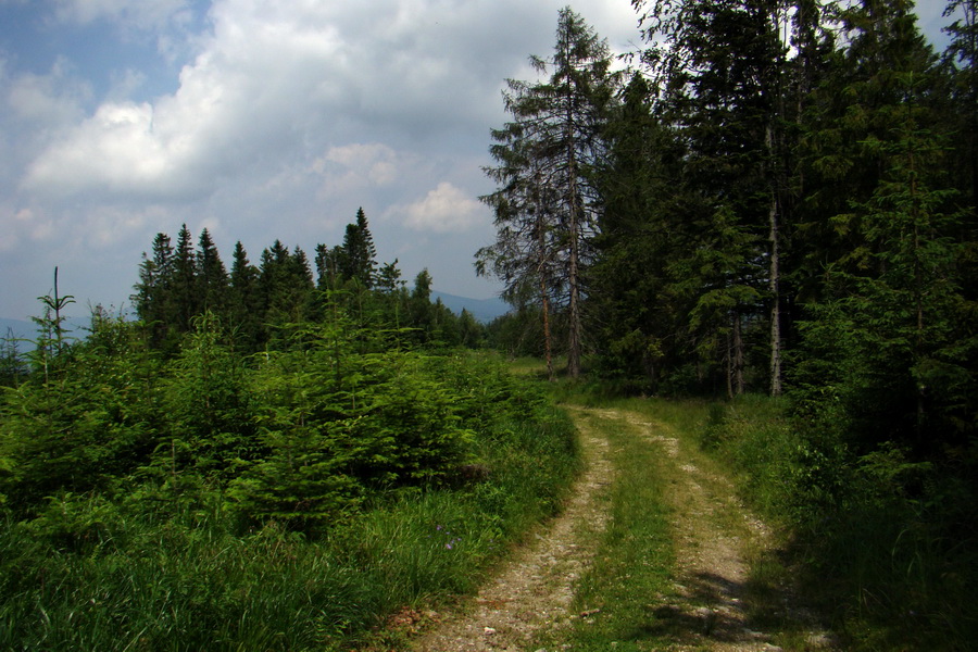 Chata Erika z Poproča (Volovské vrchy)