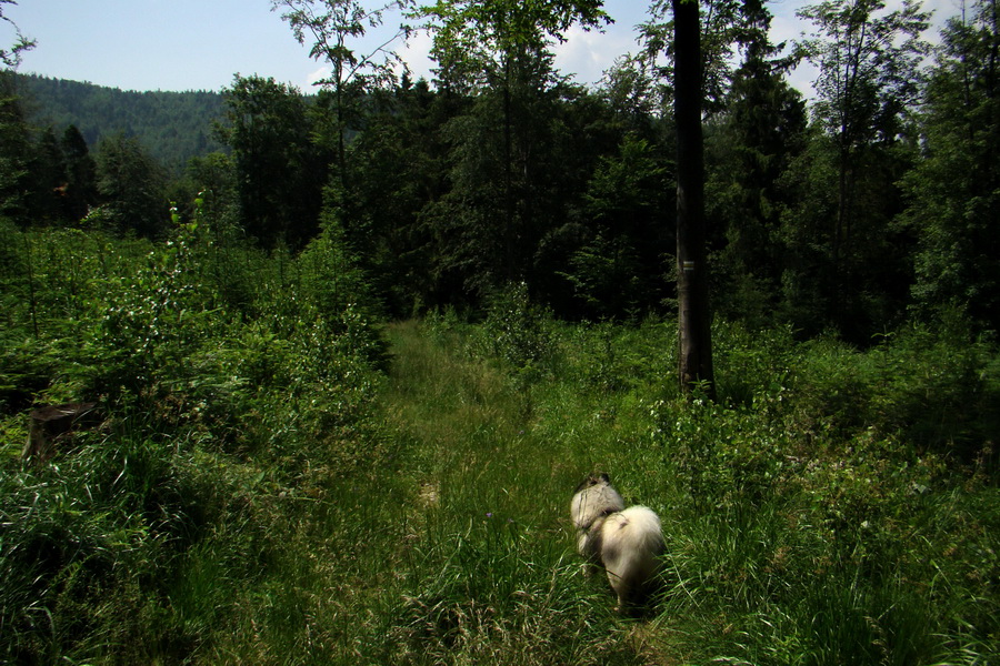 Chata Erika z Poproča (Volovské vrchy)