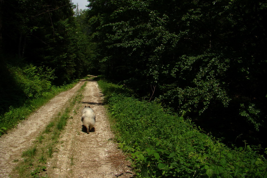 Chata Erika z Poproča (Volovské vrchy)