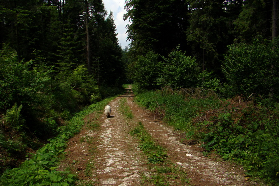 Chata Erika z Poproča (Volovské vrchy)