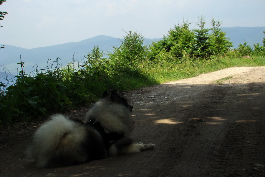 Chata Erika z Poproča (Volovské vrchy)