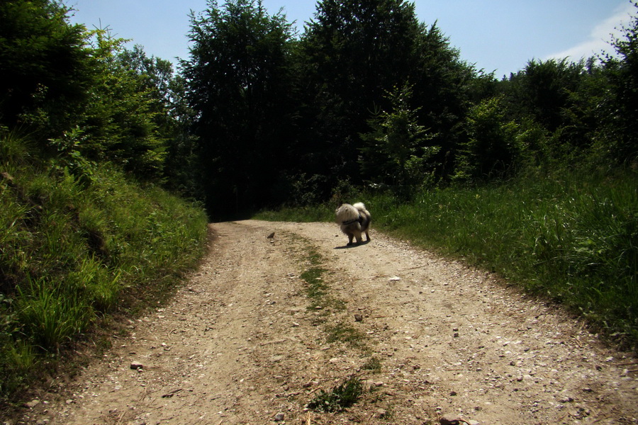 Chata Erika z Poproča (Volovské vrchy)