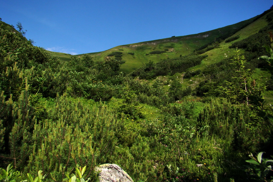 Ďumbier, Chopok (Nízke Tatry)