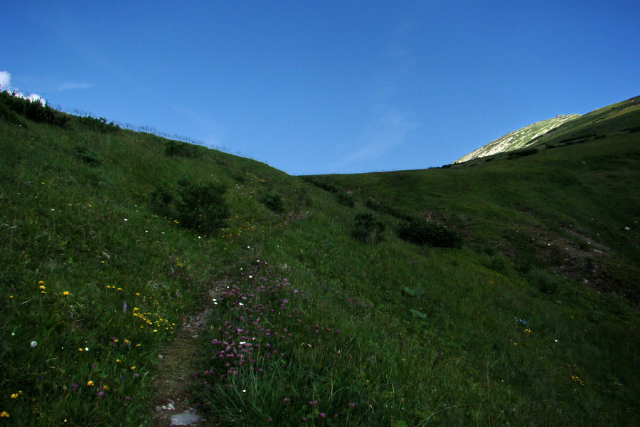 Ďumbier, Chopok (Nízke Tatry)