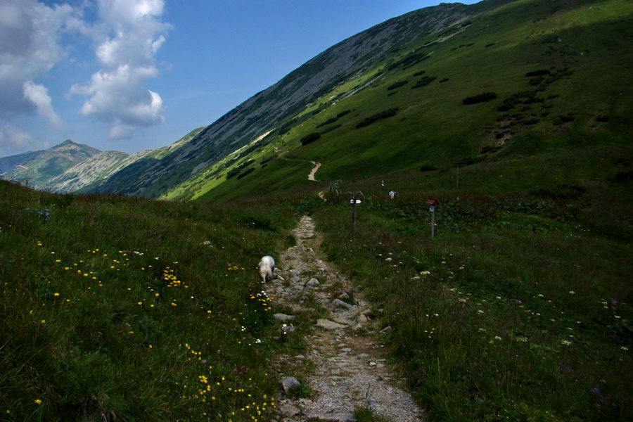 Ďumbier, Chopok (Nízke Tatry)