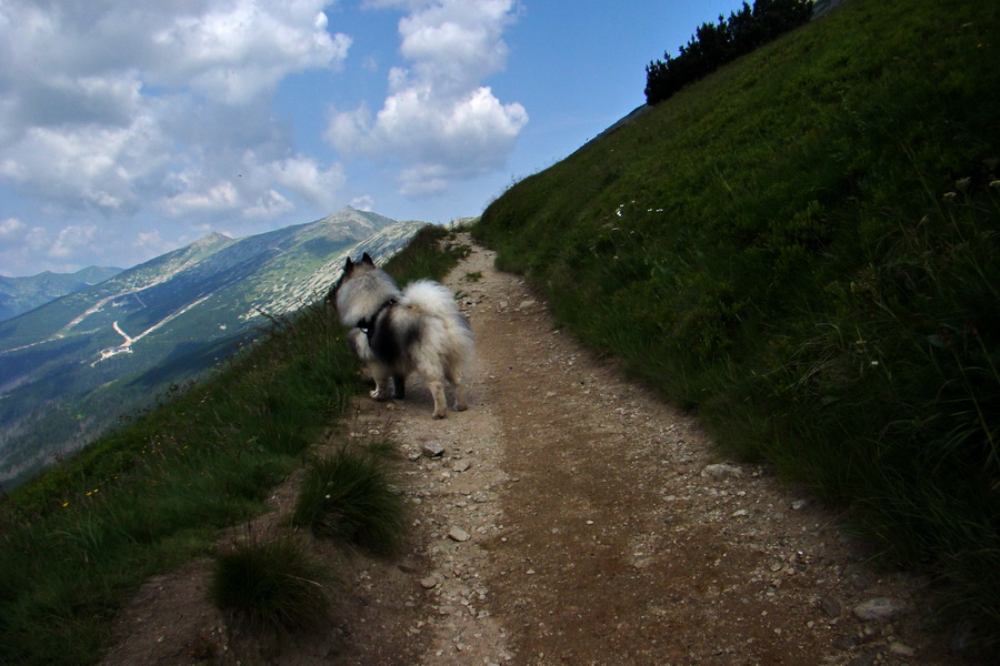 Ďumbier, Chopok (Nízke Tatry)