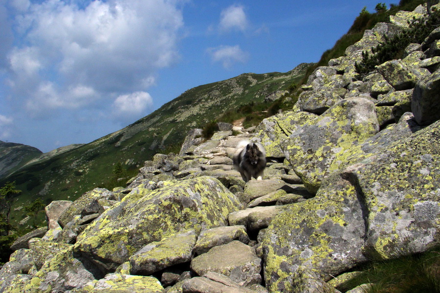 Ďumbier, Chopok (Nízke Tatry)