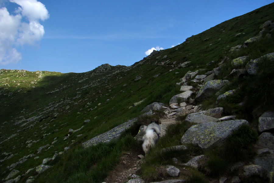 Ďumbier, Chopok (Nízke Tatry)